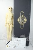 画像7: BJD CROBI/Keith:M-Line Boy body Y-26-06-30-262-WT-ZY (7)