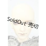 画像: BJD CROBI/Aaron Ver. Wolf Limited Y-26-06-30-263-WT-ZY