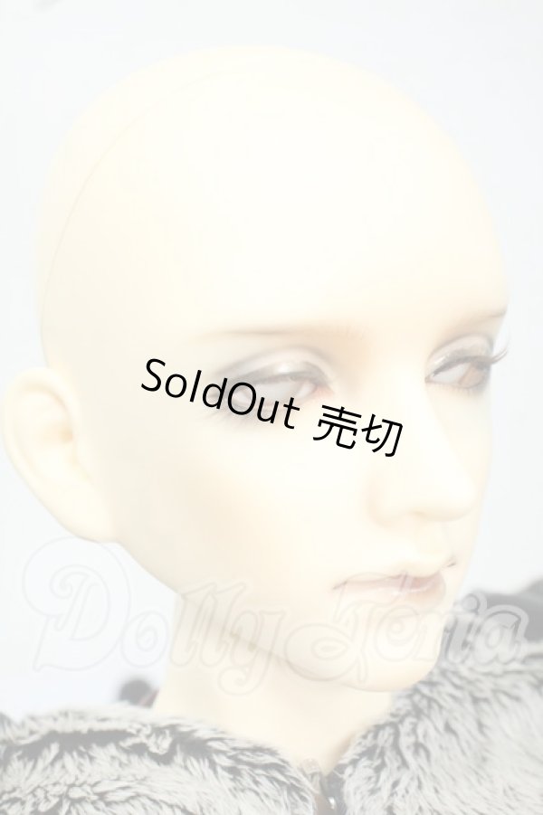 画像2: BJD CROBI/Aaron Ver. Wolf Limited Y-26-06-30-263-WT-ZY (2)