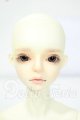 画像: WITH DOLL/Ian Y-26-06-30-256-WT-ZY