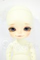 画像: withdoll/Penguins Holiday - Pooky Y-26-06-30-253-WT-ZY