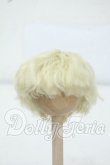 画像1: 5.5inch/ウィッグ Y-26-06-30-055-WT-ZY (1)
