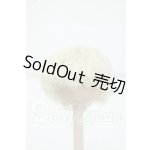 画像: 5.5inch/ウィッグ Y-26-06-30-055-WT-ZY