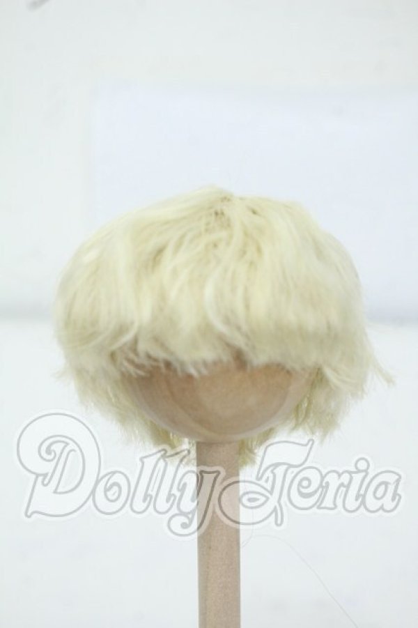 画像1: 5.5inch/ウィッグ Y-26-06-30-055-WT-ZY (1)