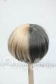 画像2: 6-7inch/ウィッグ Y-26-06-30-054-WT-ZY (2)