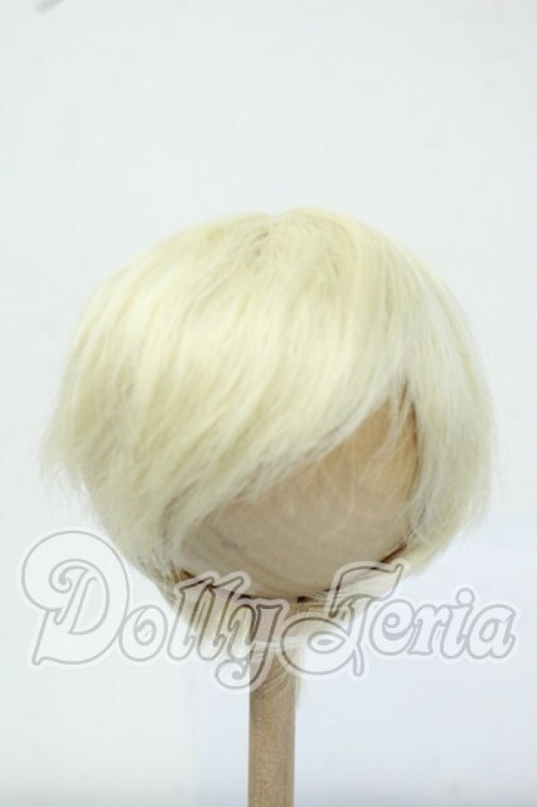画像1: 8-9inch/ウィッグ Y-26-06-30-026-WT-ZY (1)