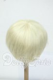 画像2: 8-9inch/ウィッグ Y-26-06-30-026-WT-ZY (2)