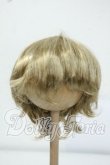 画像1: 8-9inch/ウィッグ Y-26-06-30-024-WT-ZY (1)