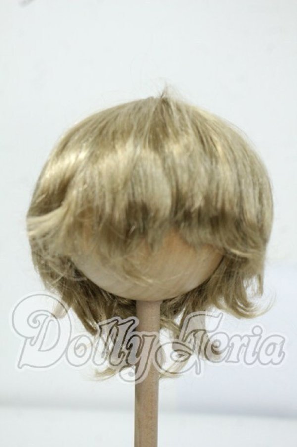 画像1: 8-9inch/ウィッグ Y-26-06-30-024-WT-ZY (1)