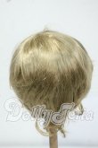 画像2: 8-9inch/ウィッグ Y-26-06-30-024-WT-ZY (2)
