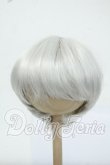画像1: 8-9inch/ウィッグ Y-26-06-30-021-WT-ZY (1)
