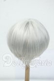 画像2: 8-9inch/ウィッグ Y-26-06-30-021-WT-ZY (2)
