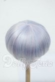 画像2: 8-9inch/ウィッグ Y-26-06-30-025-WT-ZY (2)