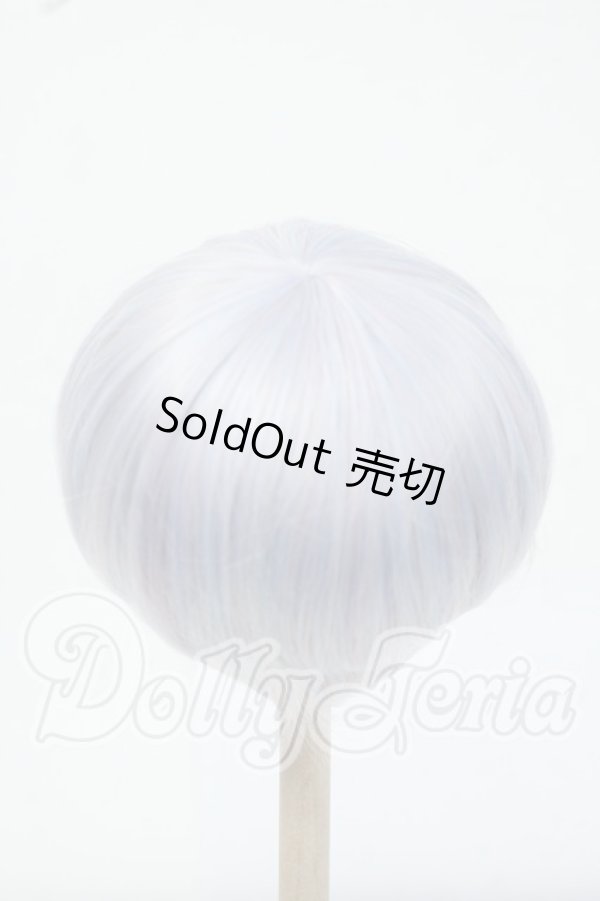 画像2: 8-9inch/ウィッグ Y-26-06-30-025-WT-ZY (2)