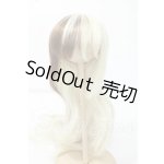 画像: 8-9inch/ウィッグ Y-26-06-30-270-WT-ZY