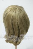画像2: 9-10inch/ウィッグ Y-26-06-30-290-WT-ZY (2)