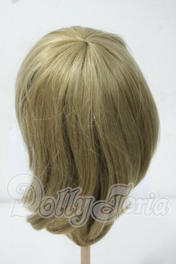 画像2: 9-10inch/ウィッグ Y-26-06-30-290-WT-ZY (2)