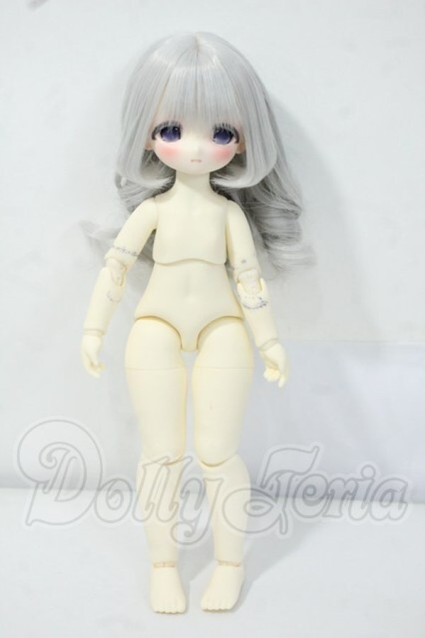 画像5: TinyFox/ミス・オイスター ウェステ Y-26-07-07-247-WT-ZY (5)