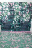 画像1: SD/背景布 横60cm×縦126cm Y-26-07-07-268-WT-ZY (1)