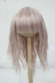画像1: 6-7inch/ウィッグ Y-26-07-07-060-WT-ZY (1)