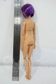 画像3: Barbie/バービー:Dreamtopia Fairy asst Y-26-07-07-088-WT-ZY (3)