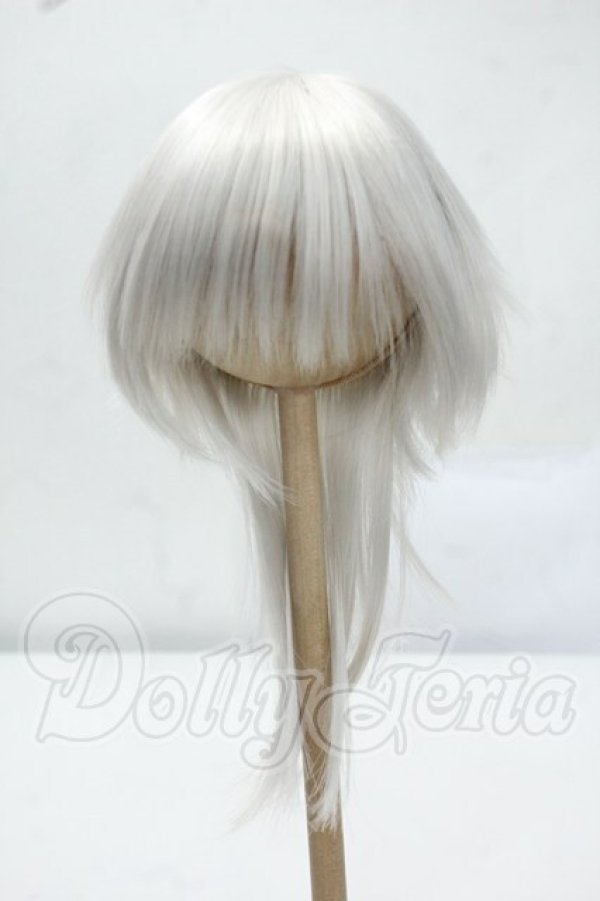 画像1: 8-9inch/DOLK ORIGINAL ウィッグ Y-26-07-14-056-WT-ZY (1)