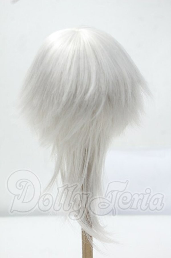 画像2: 8-9inch/DOLK ORIGINAL ウィッグ Y-26-07-14-056-WT-ZY (2)