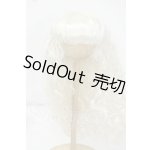 画像: 9-10inch/ウィッグ Y-26-07-07-288-WT-ZY