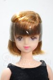 画像1: ジェニー/ジュリア:ジェニー・フレンドドール LIMITED EDITION Y-26-07-14-134-WT-ZY (1)