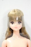 画像1: リカちゃんキャッスル/アベル:おたのしみドール Y-26-07-14-127-WT-ZY (1)