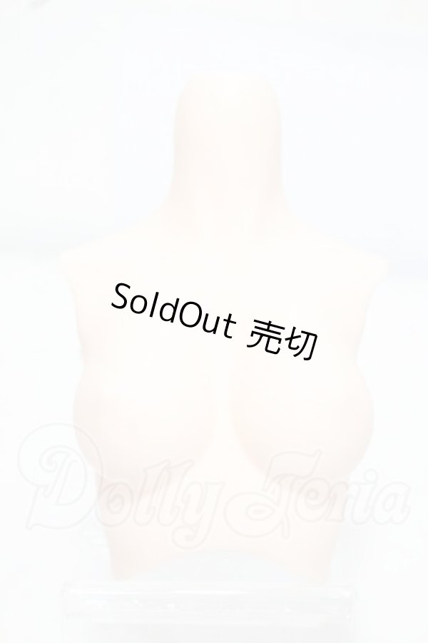 画像1: DD/上半身パーツ DD3-B-01-SW Y-26-07-14-005-WT-ZY (1)