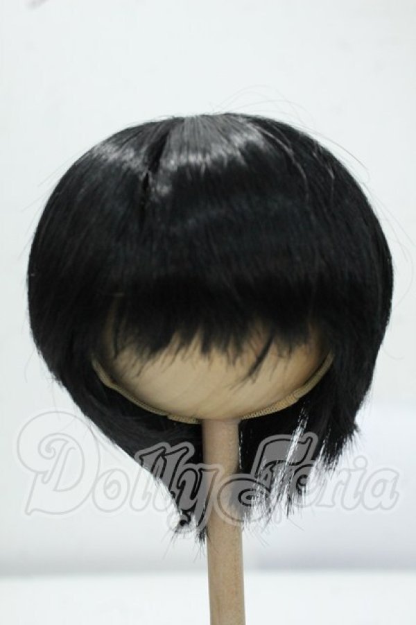 画像1: 8-9inch/ウィッグ Y-26-07-14-054-WT-ZY (1)