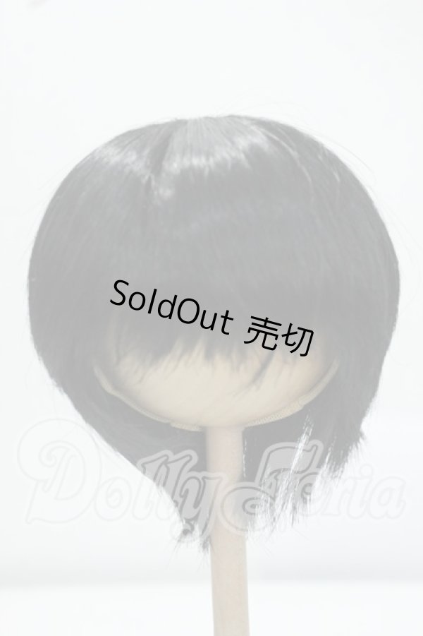 画像1: 8-9inch/ウィッグ Y-26-07-14-054-WT-ZY (1)