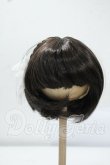 画像1: 8-9inch/ウィッグ Y-26-07-14-053-WT-ZY (1)