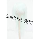 画像: 7-8inch/ウィッグ Y-26-07-21-021-WT-ZY