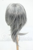 画像2: 9-10inch/ウィッグ Y-26-07-21-015-WT-ZY (2)