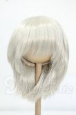 画像1: 9-10inch/ウィッグ Y-26-07-21-017-WT-ZY (1)