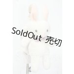 画像: MDD/OF:ウサぬいバッグ:VOLKS製 Y-26-07-21-051-WT-ZY