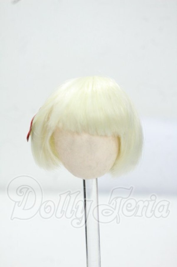 画像1: 5inch/ウィッグ Y-26-07-21-120-WT-ZY (1)