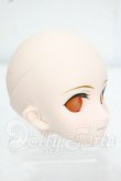 画像2: DDS/セイバー　アルトリア・ペンドラゴン オルタ：ヘッドのみ Y-26-07-21-008-WT-ZY (2)