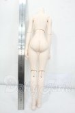 画像2: DDS/ベースボディ2.0（DD-f3）セミホワイト Y-26-07-21-007-WT-ZY (2)