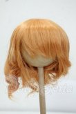 画像1: 8-9inch/ウィッグ Y-26-07-21-117-WT-ZY (1)