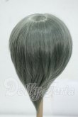 画像2: 8-9inch/ウィッグ Y-26-07-21-118-WT-ZY (2)