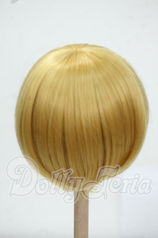 画像2: 7-8inch/ウィッグ Y-26-07-21-120-WT-ZY (2)
