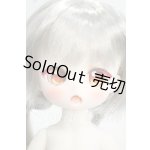 画像: TinyFox/幼い赤狼リトルアンナ1/6 Y-26-07-28-114-WT-ZY