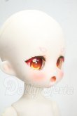 画像3: TinyFox/幼い赤狼リトルアンナ1/6 Y-26-07-28-114-WT-ZY (3)