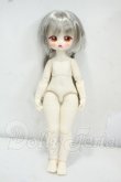 画像5: TinyFox/幼い赤狼リトルアンナ1/6 Y-26-07-28-114-WT-ZY (5)