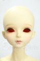 画像: Myoudoll/Delia 1/4 Y-26-07-28-108-WT-ZY
