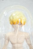 画像1: 悸動瞬息 シチリアの追憶/西西里往事 エドアルド ゴールデンレトリバー Y-26-08-11-013-WT-ZY (1)