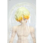 画像: 悸動瞬息 シチリアの追憶/西西里往事 エドアルド ゴールデンレトリバー Y-26-08-11-016-WT-ZY